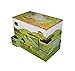 Enchantmints Hideaway Horse Music Jewelry Box