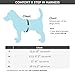 Gooby - Comfort X Step-in Harness, Choke Free Small Dog Harness with Micro Suede Trimming and Patented X Frame, Blue, Medium