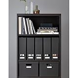 Set of 2 Ikea Tjena Magazine File Organizer Storage Black