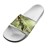 Hawaii Slippers Dinosaur D-Rex Antiskid Couple