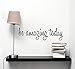 Be Amazing Today Quotes Wall Decals Inspirational Wall Decal Mirror Bedroom Decor Wall Stickers-6.6H X 23W inch