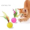 WeFine-Cat-Toys-21-Pcs-Kitten-Toys-Cat-Interactive-Toys-Set-for-Indoor-Cats WeFine Cat Toys 21 Pcs Kitten Toys Cat Interactive Toys Set for Indoor Cats