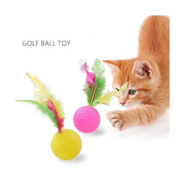 WeFine-Cat-Toys-21-Pcs-Kitten-Toys-Cat-Interactive-Toys-Set-for-Indoor-Cats WeFine Cat Toys 21 Pcs Kitten Toys Cat Interactive Toys Set for Indoor Cats