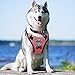 BABYLTRL No Pull Dog Harness with Leash & Collar, Adjustable Dog Vest Harness Reflective Oxford No-Choke Soft Pet Harness for Small Medium Large Dogs Easy Control Harness (Harness-Pink, Large)