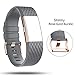 for Fitbit Charge 2 Bands Rose Gold Buckle,Charge 2 Sport Replacement Bands Lavender,DB Fitbit Charge 2 Accessory Wristbands Large