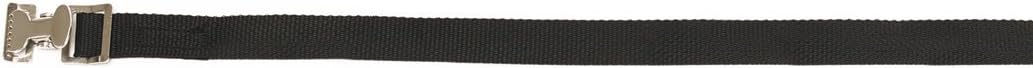 CargoBuckle F14062 Lashing Strap Tie-Down with Pinch Buckle