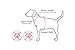 Puppia Authentic Vivien Harness, Royal, Medium