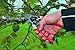Felco Ergonomic Hand Pruner with 1-inch Cutting Capacity, 8.25inthumb 4