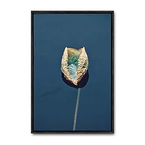 Framed Canvas Wall Art Animals, Flowers, Birds Canvas Prints Home Artwork Decoration for Living Room, Bedroom - 16x24 inches