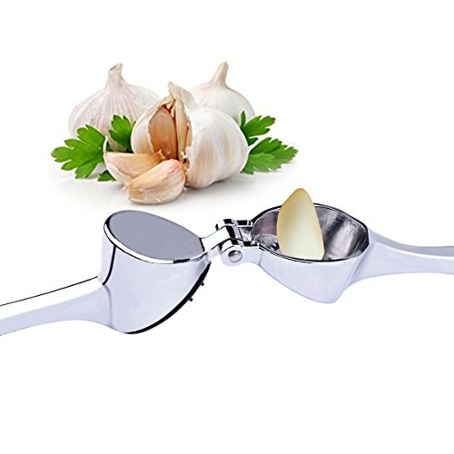 Garlic Press & Garlic Cleaning Brush - Stainless Steel Kitchen Garlic Tools - Garlic Keepers Innovative Oblique Holes and Pressure Garlic Opposite Inverted Thimble Design