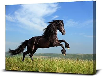 Royllent 1 Panel Horse Framed Wall Art 16x24inch Painting The Picture Print On Canvas For Home Decor Decoration Gift piece (Stretched By Wooden Frame,Ready To Hang) (RA-CP0057-A)