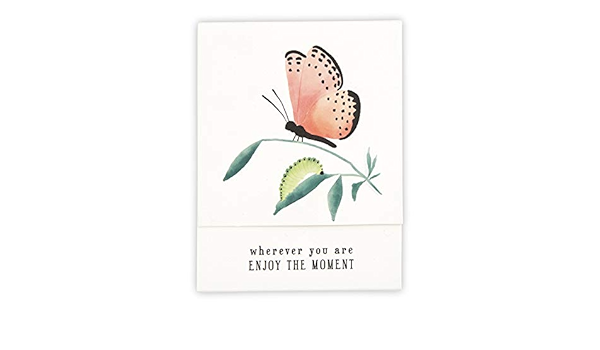 Download Amazon Com Religious Enjoy The Moment Butterfly Pocket Notepad 3 85 Inch Office Products