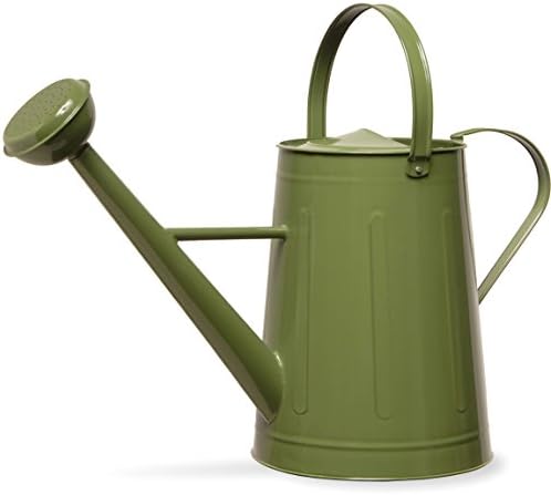 Antique Accents Garden Equipment Watering Can