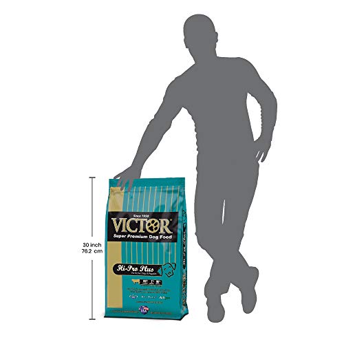Victor HiPro Plus Dry Dog Food, 40 Lb. Bag Pets Trend Store
