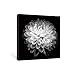 SUMGAR Black and White Wall Art for Bedroom Modern Plant Flower Canvas Paintings Floral Pictures Nuture Botanical Artwork,12x12 in