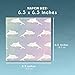 Cocktail Napkins - 150-Pack Luncheon Napkins, Disposable Paper Napkins Dolphin Party Supplies for Kids Birthdays, 2-Ply, Unfolded 13 x 13 Inches, Folded 6.5 x 6.5 Inches