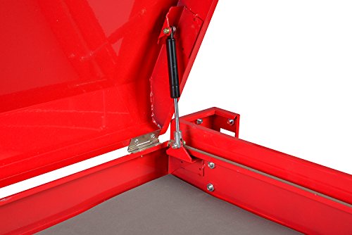 Enjoi Utility Tool Cabinet Service Cart Tool Chest Workshop Rolling Storage Trolley Tool Box w/Drawers (Red)