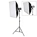 Neewer 600W Photo Studio Monolight Strobe Flash Light Softbox Lighting Kit with Carrying Bag for Video Shooting,Location and Portrait Photography(300DI)