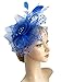 Cizoe Fascinators Hat for Women Tea Party Headband Kentucky Derby Wedding Flower Cocktail Mesh Feathers Hair Clip(1-Royal Blue)