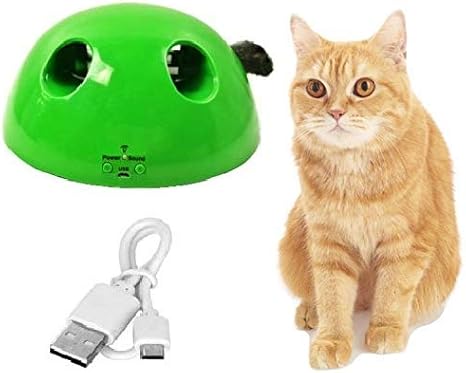 pop n play cat toy amazon