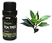 Tea Tree - 100% Pure Therapeutic Grade Essential Oil 10ML