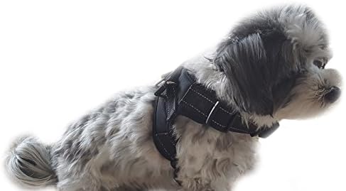 Paw Aura No Pull Dog Harness with Handle | Training, Walking and Mobility Support | Reflective Padded Oxford &amp; Nylon | Adjustable Straps | Pet Friendly Comfort | Small Black