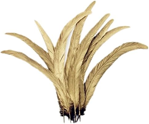 PANAX Rooster Tail Feathers 10 pieces 30-35 cm/ 12-14 Inch Length, Ideal for Carnival, Halloween, crafts, Handwerk, DIY, clothing, costumes both side Spray Gold