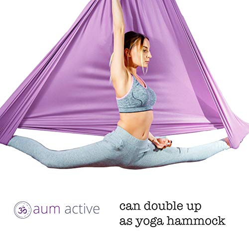 Aerial-Silks-Beginner-Kit-Acrobatic-Flying-Dance-Yoga-Trapeze-Aerial-Yoga-Hammock-Swing-Includes-9-Yards-of-Aerial-Tricot-Fabric-Hardware-Guide-Suitable-for-Rigging-Point-Upto-13ft