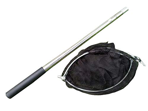 Butterfly Net Telescopic Insect and Fishing Net Perfect for Kids Catching Bugs Small Fish, Handle Extends to 32 Inches (Black-) - Thumbnail 5