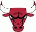 Chicago Bulls NBA Basketball Bumper Sticker 5