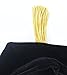 GraduationForYou Doctoral Tam with Gold Bullion Tassel-6 Sides
