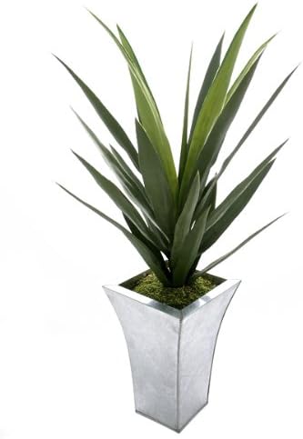 Can A Yucca Plant Live Outside Uk Artificial Yucca Plants Green 59cm Amazon Co Uk Garden Outdoors