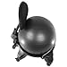 Sivan Health and Fitness Balance Ball Adjustable Fit Chair with Pump, Black, Large