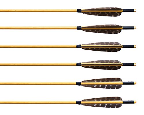 Albertu 12 Pcs Hunting Arrows Wooden Target Arrows 5" Turkey Feather Fletching Archery Arrows with Field Points for Recurve Bow or Longbow - Thumbnail 2