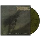 Watching from a Distance (輸入盤) [Analog]