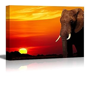Elephant In Savanna At Sunset - Canvas Art