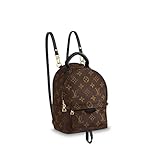 Louis Vuitton Palm Springs Mini Backpack M41562