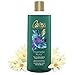 Caress Body Wash, Hypnotic Aura 12 oz