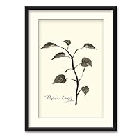 Herbs Theme Wall Art Black Framed Canvas Prints Home Decoration for Bedroom,Livingroom Ready to Hang - 23x31 inches