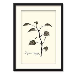Herbs Theme Black Framed for Bedroom Livingroom