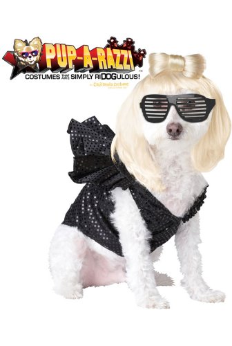 Pup-A-Razzi Pop Sensation Dog Costume, Small, Black