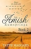 Stays In Asheville (An Amish Rumspringa) by Tattie Maggard