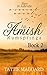 Stays In Asheville (An Amish Rumspringa) by Tattie Maggard