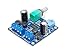SMAKN® TPA3118 Numeric 12V Power Amplifier Board Finished Board/with Switch Potentiometer/Parallel Mono