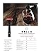 Sello 2 Wine Preservation System | Wine Preserver & Wine Pourer in One | Patented Wine Saver with Innovative Technology | Made in USA | New Version of Original Sello | Sello 2 device + 12 cartridges