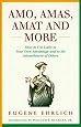 Amo, Amas, Amat and More (Hudson Group Books)