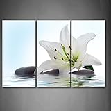 3 Panel Wall Art White Madonna Lily And Stone In Water Painting The Picture Print On Canvas Flower Pictures For Home Decor Decoration Gift piece (Stretched By Wooden Frame,Ready To Hang)