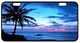 Tropical Paradise Ocean Beach Scene with Palm Trees