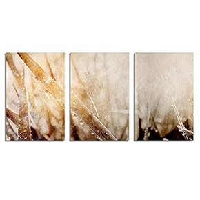 Canvas Wall Art Abstract Vintage Style...