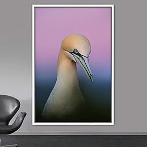 signwin Framed Canvas Wall Art Single Bird Birds...